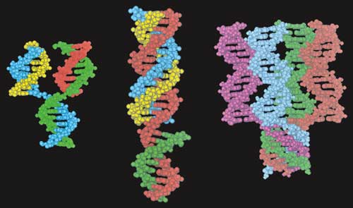 DNA structures